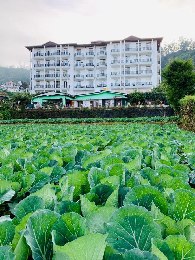 City Apartment'S Nuwara Eliya Exterior photo